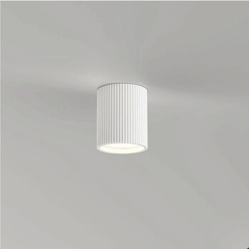 Overschilderbare Plafondlampen van Gips