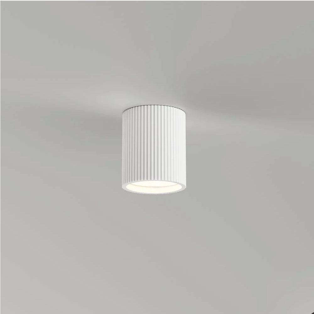 Overschilderbare Plafondlampen en Plafondverlichting van Gips