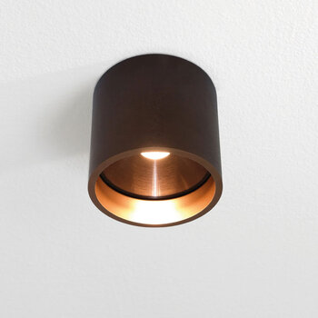 Plafondlampen voor Binnen