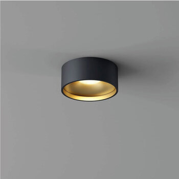 Plafondlampen voor Badkamers