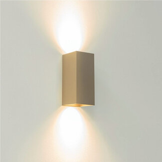 Artdelight Industriële Rechthoekige Wandlamp Champagne | Artdelight Dante