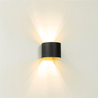 Artdelight Industriële Ronde Wandlamp Zwart/Mat Goud | Artdelight Gyro