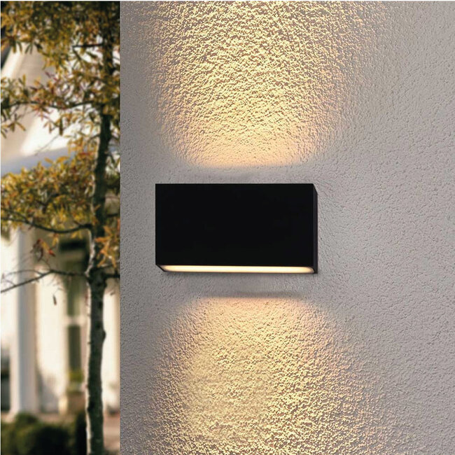 Industriële LED Wandlamp Zwart | Artdelight Box 2L
