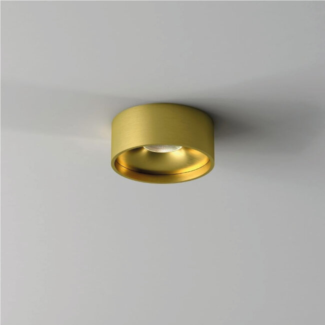 Ronde LED Plafondlamp IP54 Goud | Artdelight Oran