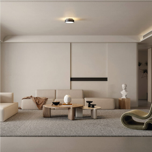 Moderne LED Plafondlamp 25cmØ Zwart | Artdelight Chicago 250