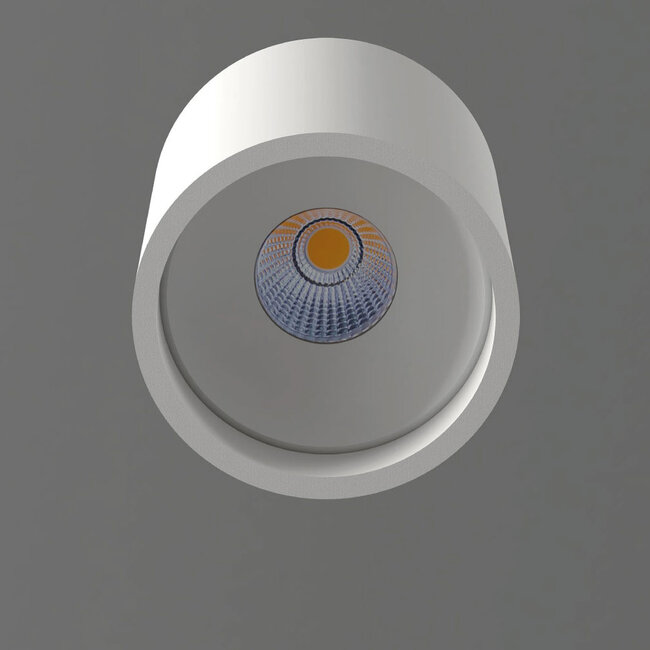 Industriële Moderne LED Plafondlamp Wit | Artdelight Orleans