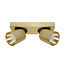 Moderne 2-lichts LED Design Spot Goud | Artdelight Laguna 2L