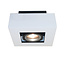 1-lichts Opbouwspot met GU10 fitting Wit/Zwart | Artdelight Bosco 1L