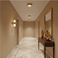 Moderne LED Design Plafondlamp Goud | Artdelight Montana
