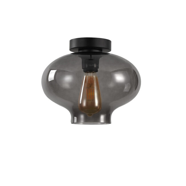 Moderne Glazen Plafondlamp 26,5cmØ met E27 Rookglas | Artdelight Toronto