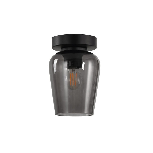 Moderne Glazen Plafondlamp 12,5cmØ met E27 Rookglas | Artdelight Tombo
