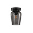 Moderne Glazen Plafondlamp 12,5cmØ met E27 Rookglas | Artdelight Tombo