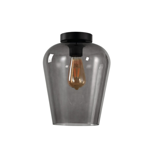 Moderne Glazen Plafondlamp 23cmØ met E27 Rookglas | Artdelight Tombo