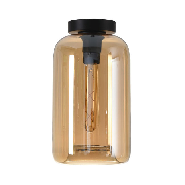 Moderne Glazen Design Plafondlamp met E27 Amber | Artdelight Botany