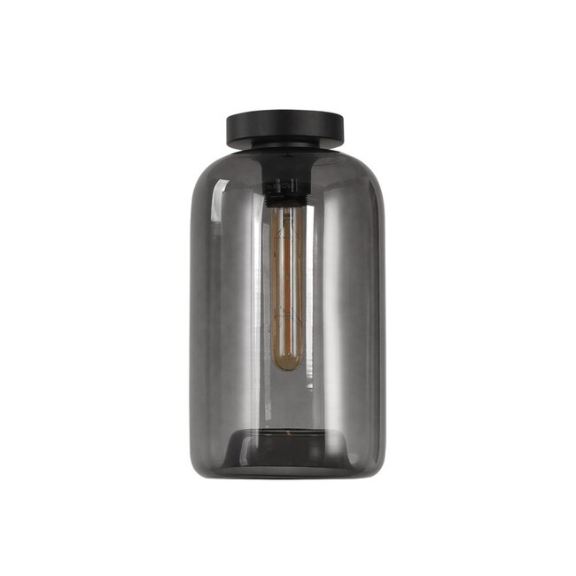 Moderne Glazen Design Plafondlamp met E27 Rookglas | Artdelight Botany