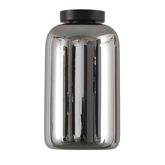 Moderne Glazen Design Plafondlamp met E27 Chroom | Artdelight Botany