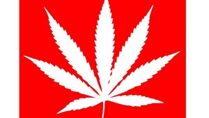 Het potentieel gunstige effect van CBD druppels