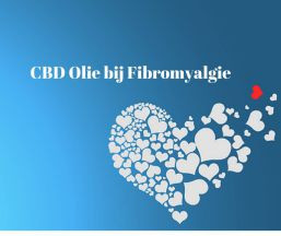 CBD Olie bij Fibromyalgie