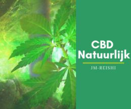 CBD olie Ervaring