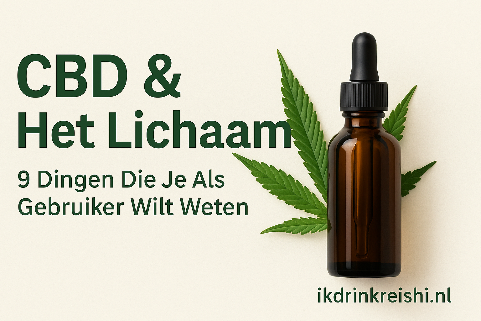 CBD & Het Lichaam: 9 Dingen Die Je Als Gebruiker Wilt Weten