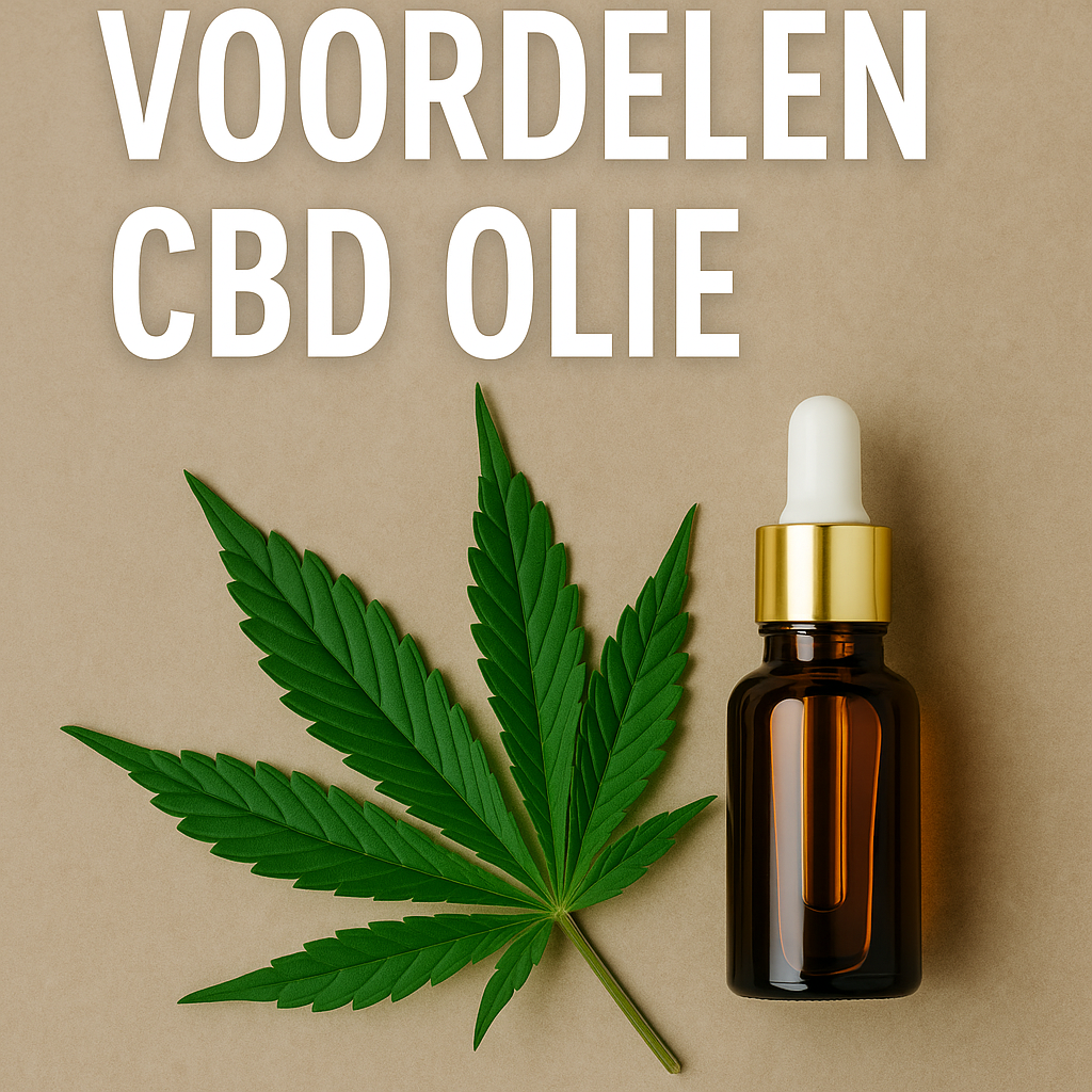 Voordelen & Aandachtspunten van CBD Olie: Wat Gebruikers Vaak Delen