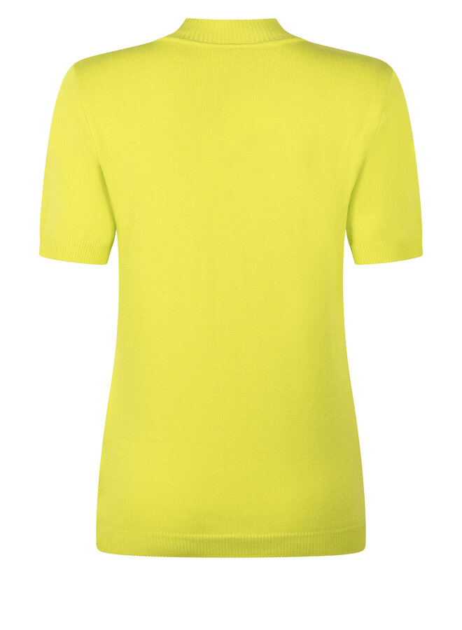 Top 234 Marnix turtle neck lime