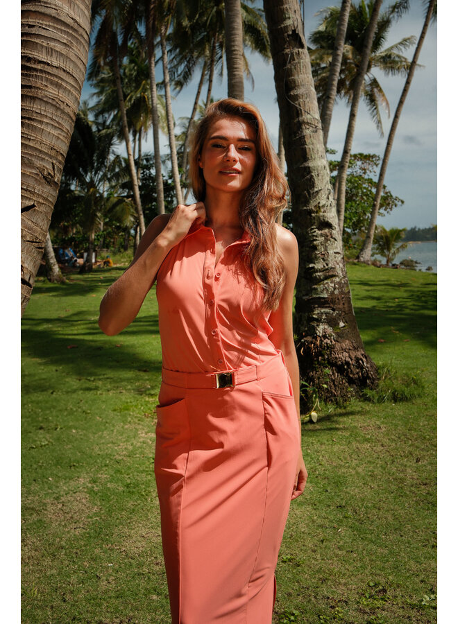 Top Ava coral