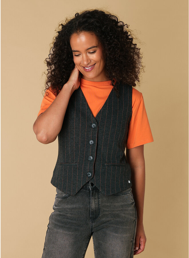 Gilet Roemi grey  melange/multi