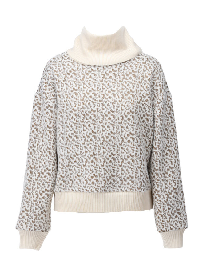 Trui B491 met rolkraag & patroon