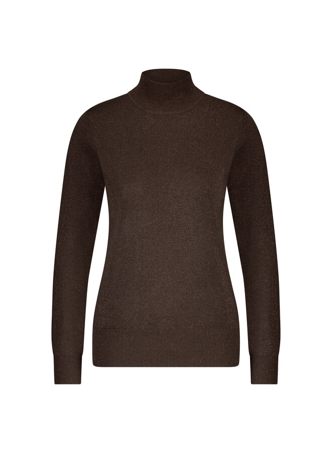 Top Turtle sparkle brown