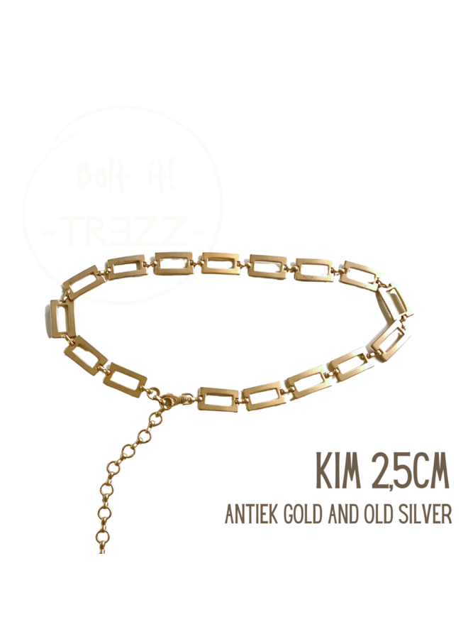 Riem Metal schakel antiek goud