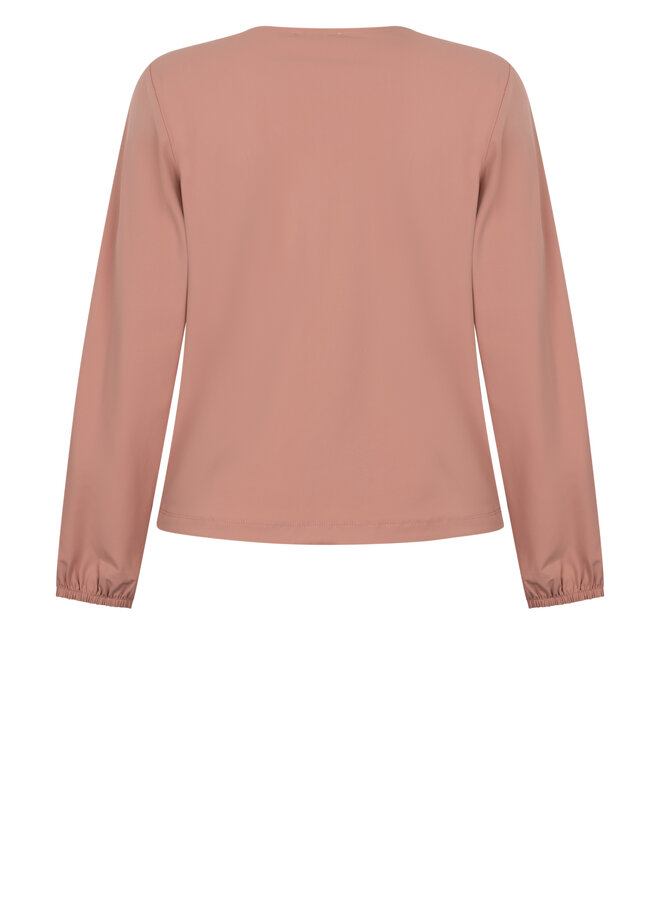 Top 261 Joan desert rose