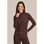 Top Turtle mocha brown
