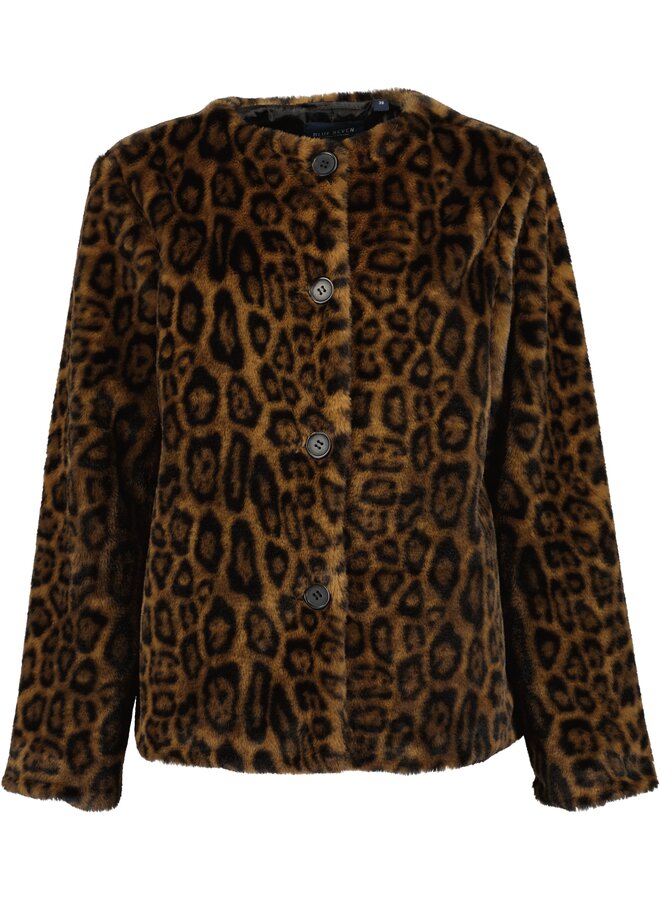 Jas Seven 291108 leopard