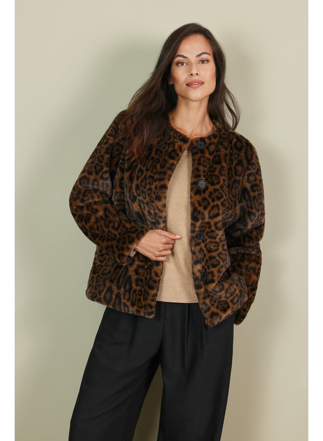 Jas Seven 291108 leopard