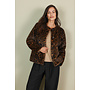 Jas Seven 291108 leopard