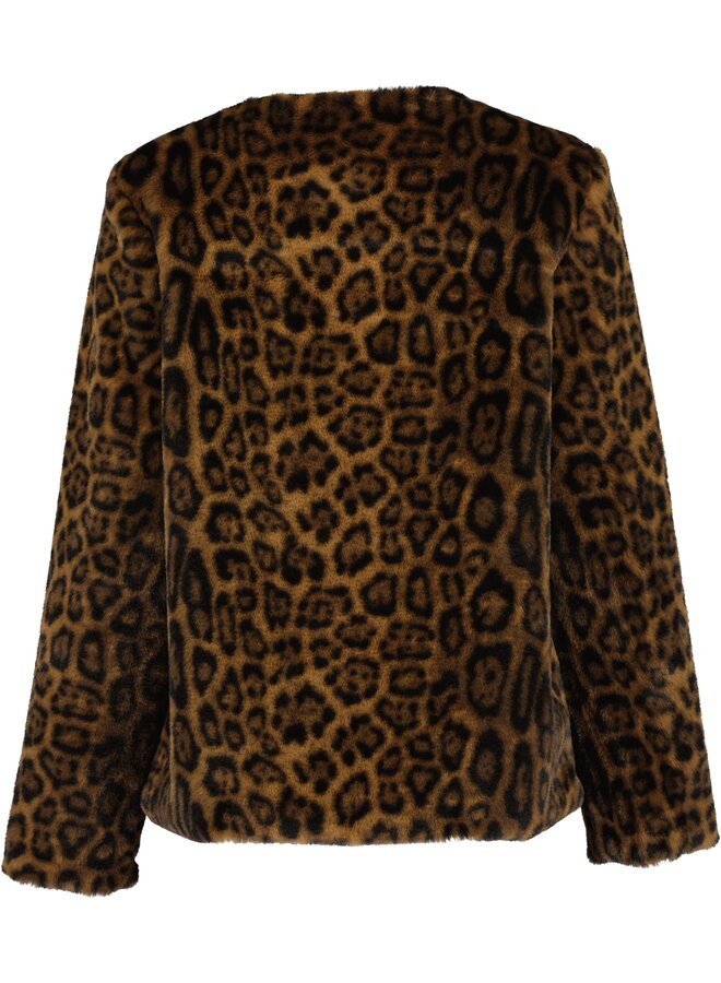 Jas Seven 291108 leopard