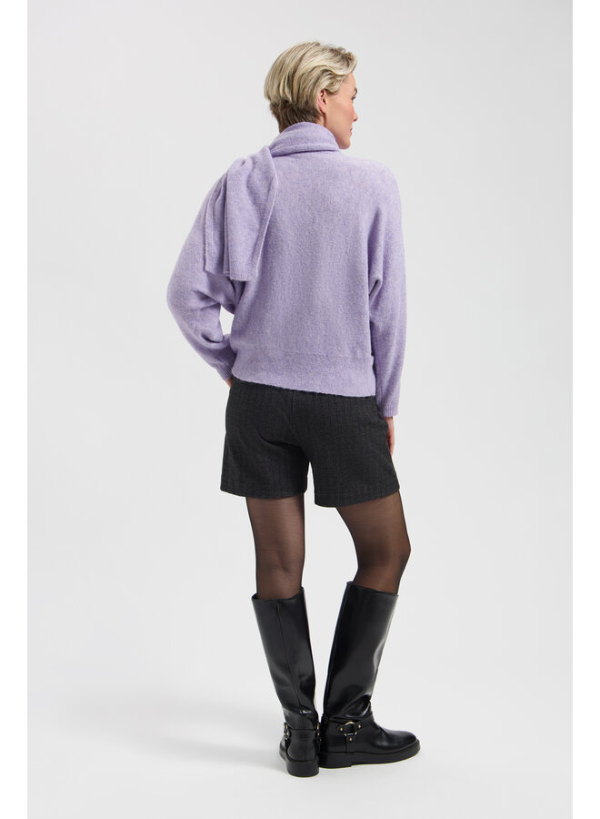 Trui Arleen ice purple