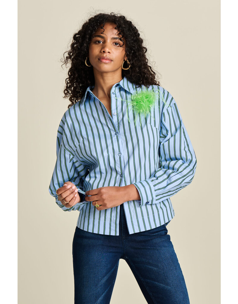 POM  Striped Poplin Blue