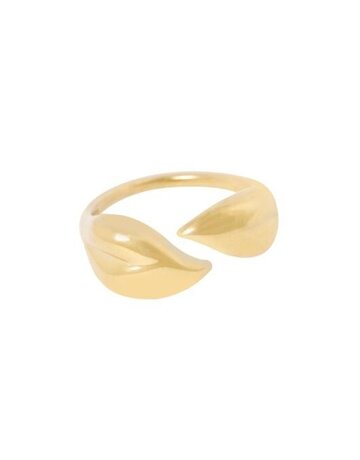Ellen Beekmans Ellen Beekmans Ring art2005