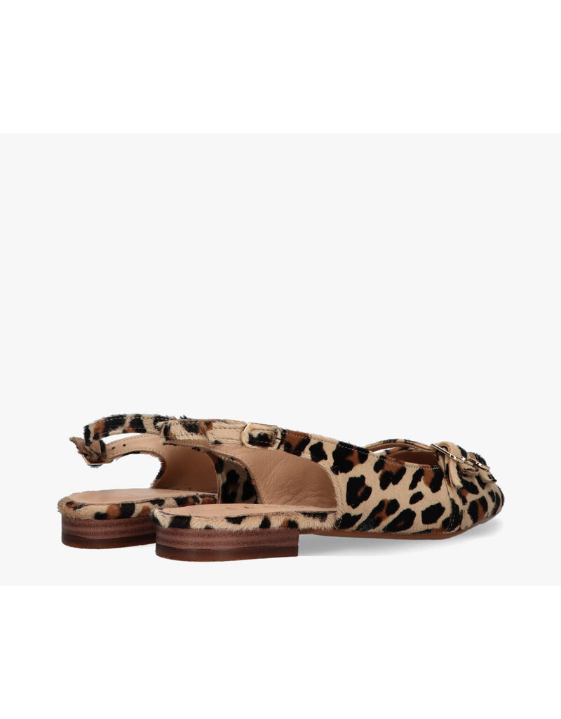 Tango Shoes Tango Duna 4C