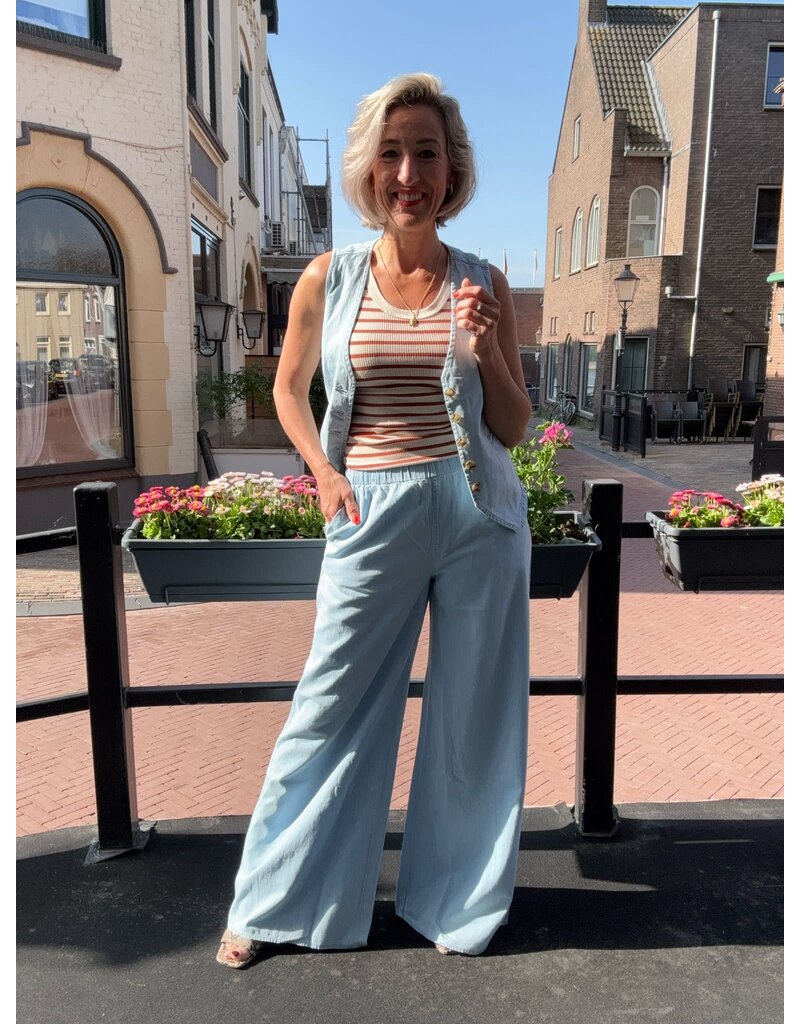 Circle of Trust Circle of Trust Molly pants wat.blue