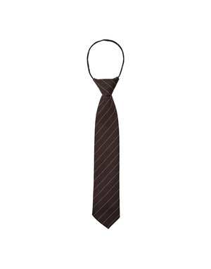 Co' Couture Co'Couture NemoCC Stripe Tie Brown