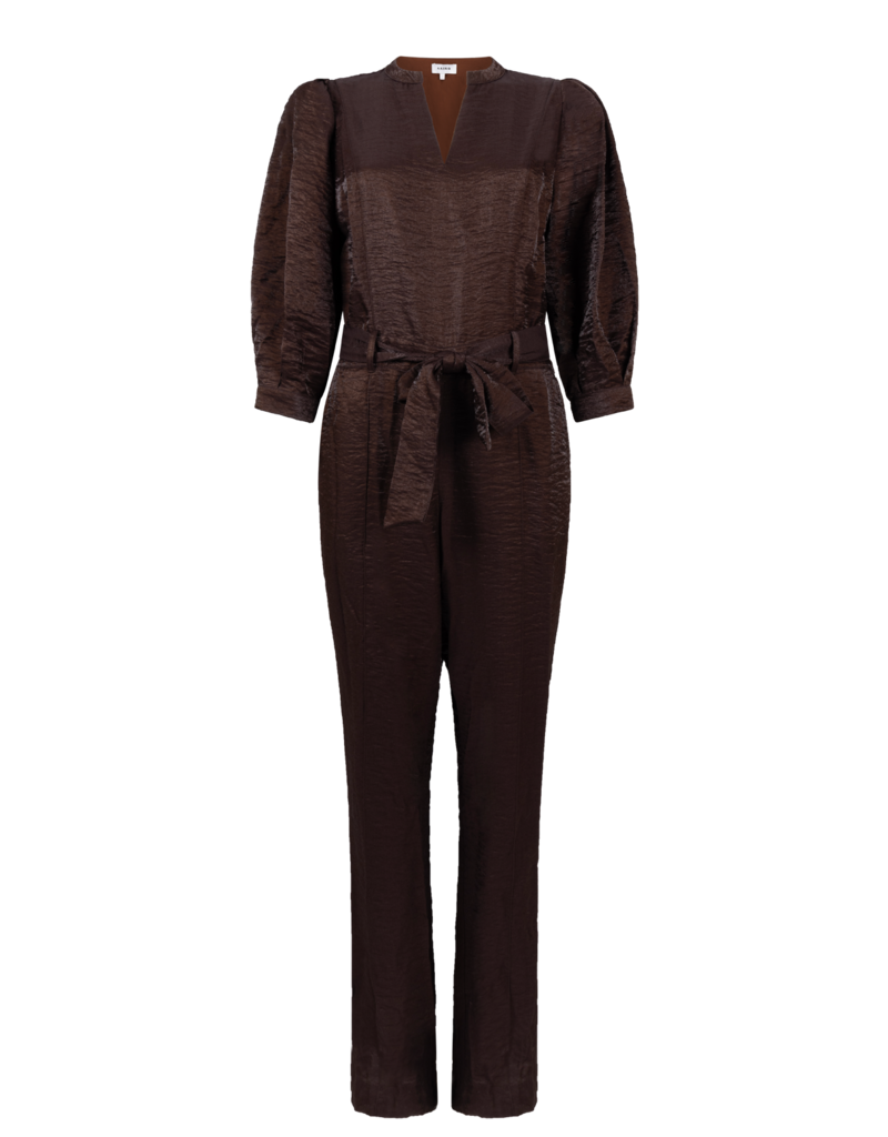 Aaiko Hellen Shine Jumpsuit