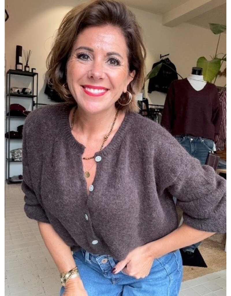 Feel Fashion Feel Vest B Coffee