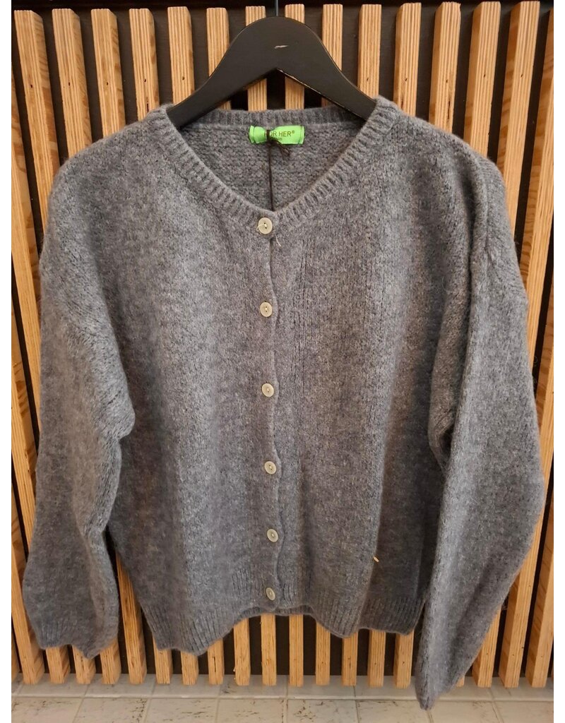 Feel Fashion Feel Vest B Grijs