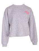 Feel Fashion Feel Sweater Licht Grijs