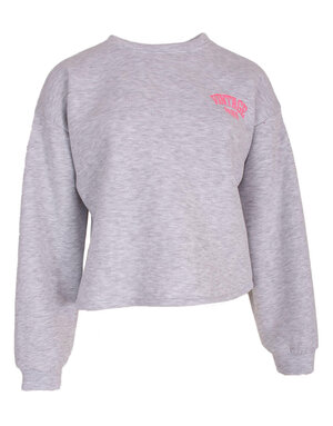 Feel Fashion Feel Sweater Licht Grijs