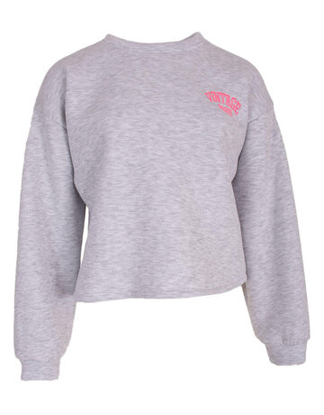 Feel Fashion Feel Sweater Licht Grijs