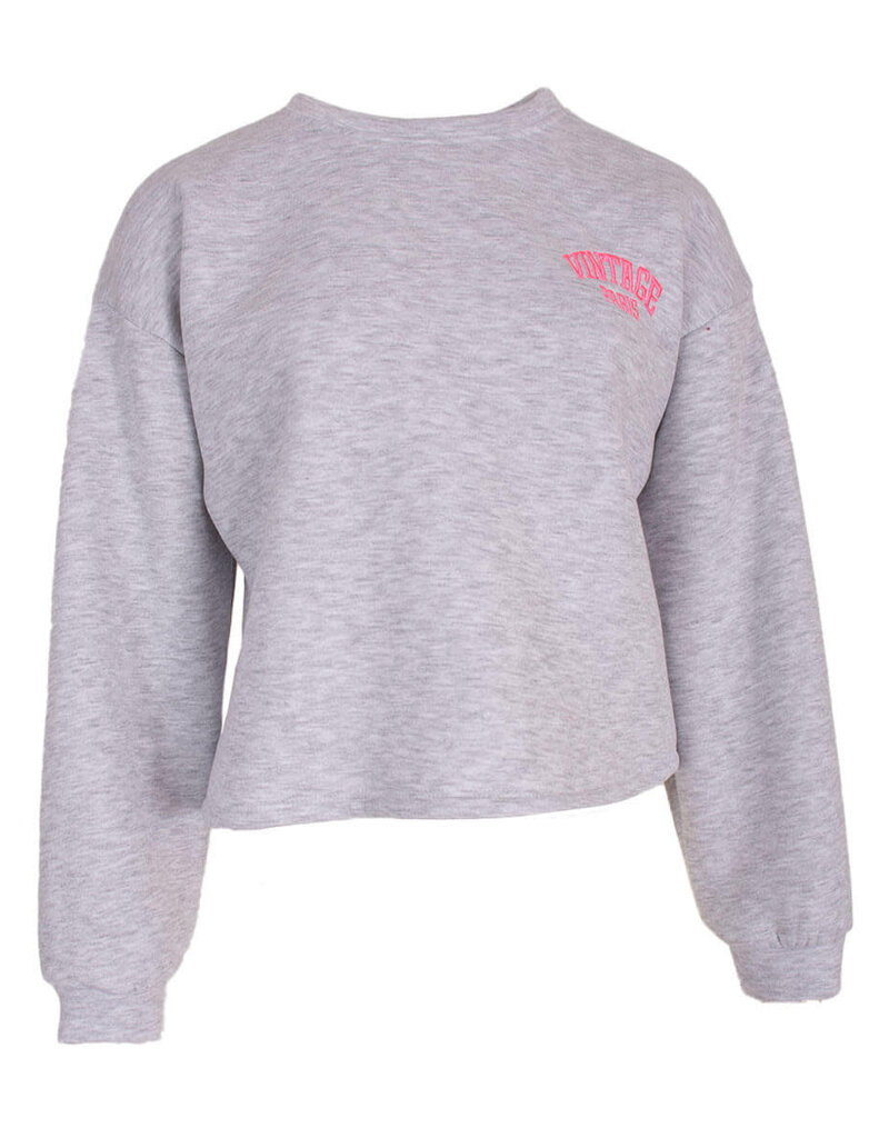Feel Fashion Feel Sweater Licht Grijs